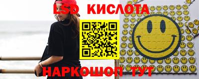 дурь Гай